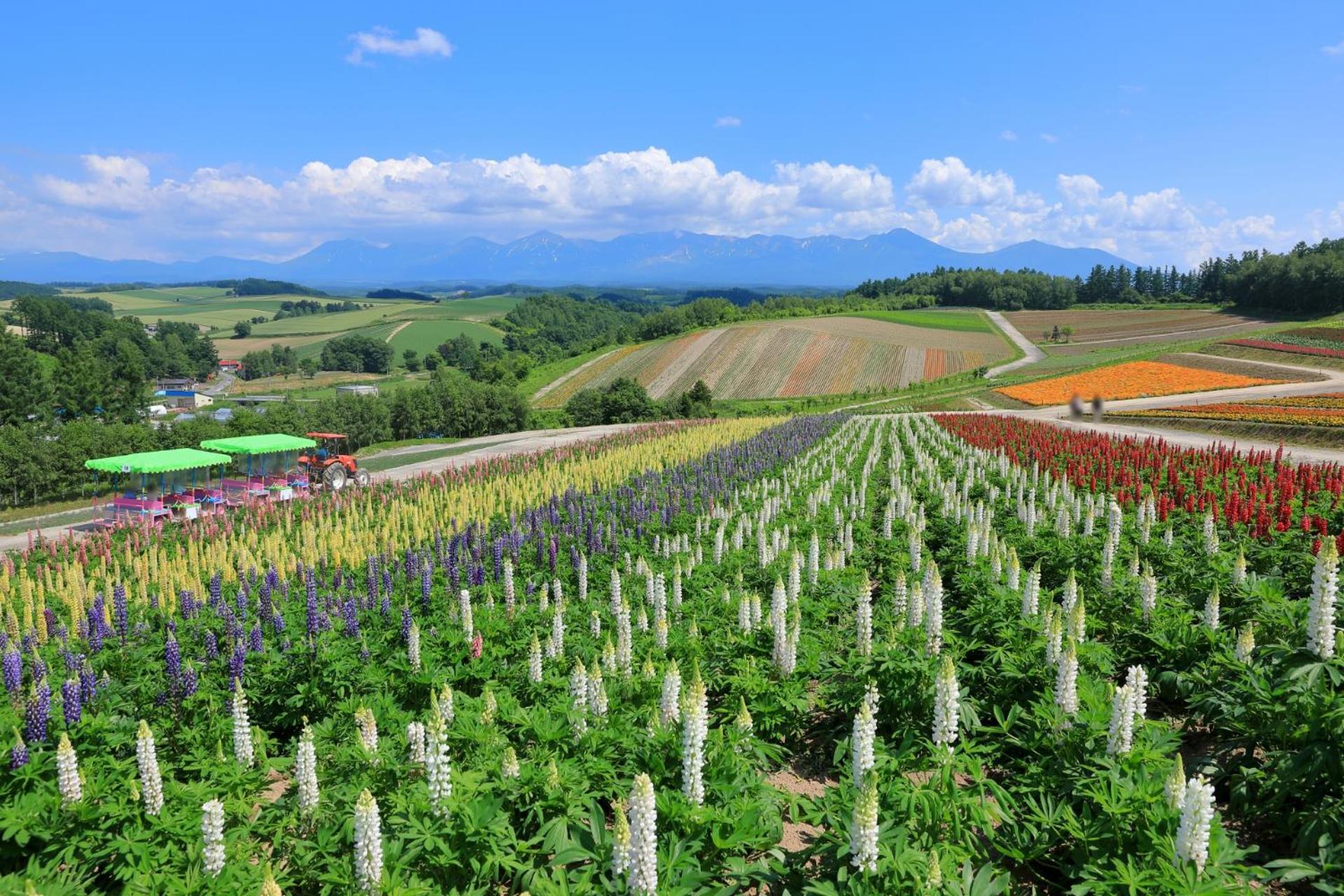 Hotel Edel Warme Furano Exterior photo